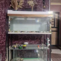 آکواریوم بزرگ