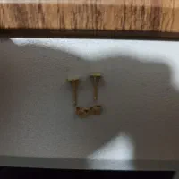 یک جفت گوشواره میخی