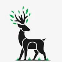 استخدام پیک موتوری