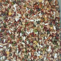 مخلوط شرکتی  درجه یک و انواع دانه پرنده