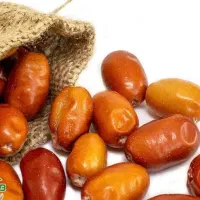 پیش فروش نهال سنجد بدون خار|خدمات باغبانی و درختکاری|سی‌سخت, |دیوار