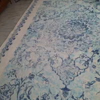 روفرشی کشدارمخملی