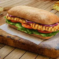 فست فود ساندویچ فرکار حرفه ای