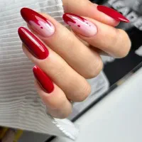 تخفیف ویژه به مناسبت یلدا و روزمادر کاشت فقط۲۲۰