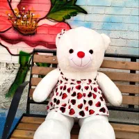 خرسی تدی|اسباب‌بازی بچه|امیدیه, |دیوار