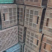 سبد جا گوجه ربی