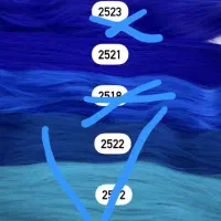 حراج موی دو سر باز نیمپوش|آرایشی، بهداشتی، درمانی|بیرجند, |دیوار