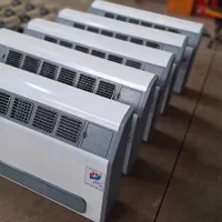 فنکوئلل زمینی دکوراتیوو