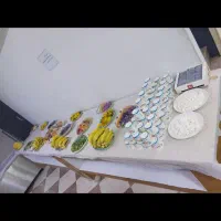 کربلا 15 آبان ماه|تور و چارتر|شیراز, نیستان|دیوار