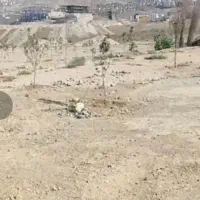 زمین-200-متری-تک-برگ-سند