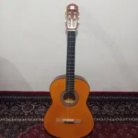 گیتار دیامون