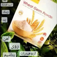پودر جوانه گندم|خوردنی و آشامیدنی|کرج, جهان‌شهر|دیوار