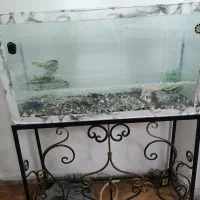اکواریوم با پایه فرفوژه