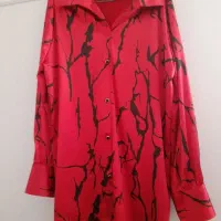 بلوزیلدایی