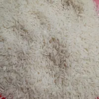 برنج طارم هاشمی فریدونکنار