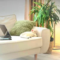 استخدام مشاور املاک جهت مشارکت در ساخت