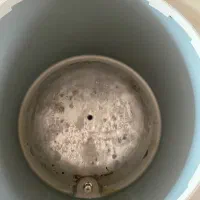 سرخ کن روغنی