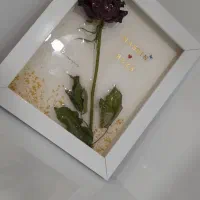 تابلو گل خشک رزینی|تابلو، نقاشی، عکس|تبریز, |دیوار