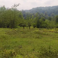 شهسوار200و۱۵۰۰متر