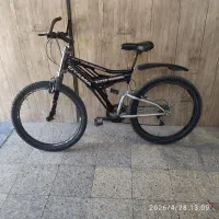 دوچرخه اقتصادی