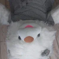 عروسک|اسباب‌بازی بچه|سرپل ذهاب, |دیوار