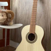 گیتار کلاسیک|گیتار، بیس، امپلیفایر|تهران, پونک|دیوار