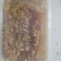 عکس همه گیاه
