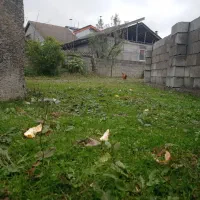 ۳۰۰ متر زمین مسکونی زیر قیمت|فروش زمین و ملک کلنگی|رضوانشهر, |دیوار