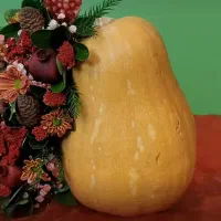 یلدا|خدمات پذیرایی، مراسم|نیشابور, هفده شهریور|دیوار