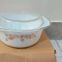 کاسه دردار آرکوپال