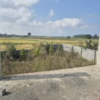 باغ وبلا فروشی|فروش خانه و ویلا|هادی شهر, |دیوار