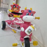 دوچرخه درحدنو|دوچرخه، اسکیت، اسکوتر|شاهین‌شهر, شهرک ردانی پور|دیوار