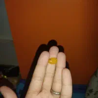 نگین شرف شمس