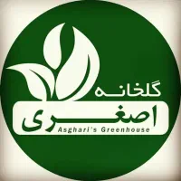 گلخانه  اصغری