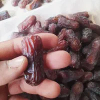 فروش انواع خرما|خوردنی و آشامیدنی|حمیدیا, |دیوار