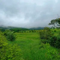 نظافت راه پله و منزل