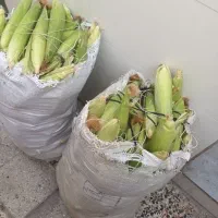سلام دوستان بلال تازه رسید