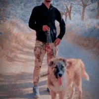 واگذاری سگ  سراب