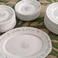 ظروف ارکوپال|ظروف سرو و پذیرایی|فردیس, شهرک گلها|دیوار