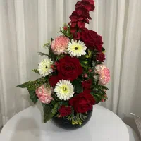 گلدون نو مصنوعی