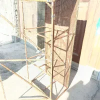 ساخت قفس چوبی با چوب گردو|لوازم جانبی حیوانات|گناباد, |دیوار