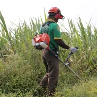 علف تراشی تخصصی  باغ و حیاط منزل