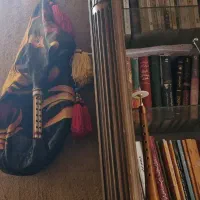 آموزش ویولن کمانچه هنگ‌درام باغلاما نی‌انبان تار|خدمات آموزشی|شیراز, لشکری‎|دیوار