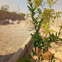 باغچه چهار دیواری انجم آباد فرارت رباط کریم شهریار|فروش زمین و ملک کلنگی|رباط‌کریم, انجم آباد|دیوار