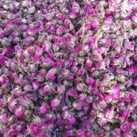 گل محمدی