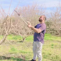 انجام هرس ضمانتی وطراحی باغ|خدمات باغبانی و درختکاری|گرگان, |دیوار