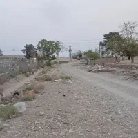 زمین مناسب سوله یا گلخانه|فروش زمین و ملک کلنگی|پاکدشت, پاکدشت (مامازند)|دیوار