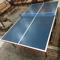 میز پینگ پونگ