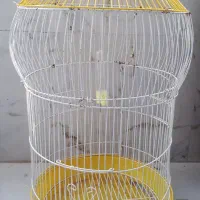 قفس پرنده