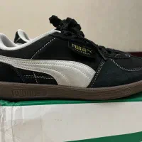 Puma palermo
